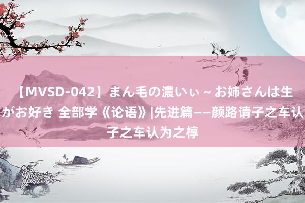 【MVSD-042】まん毛の濃いぃ～お姉さんは生中出しがお好き 全部学《论语》|先进篇——颜路请子之
