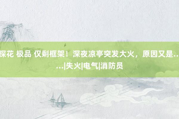 探花 极品 仅剩框架！深夜凉亭突发大火，原因又是......|失火|电气|消防员