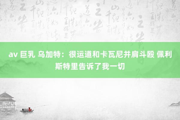 av 巨乳 乌加特:很运道和卡瓦尼并肩斗殴 佩利斯特里告诉了我一切