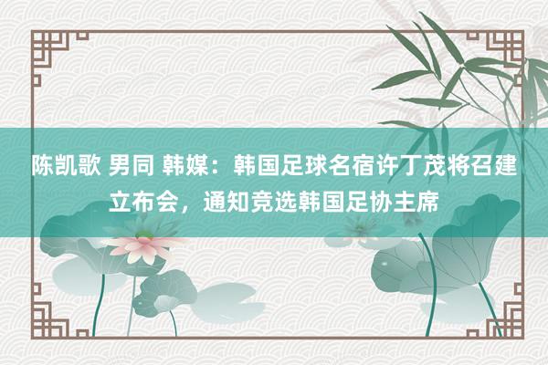 陈凯歌 男同 韩媒：韩国足球名宿许丁茂将召建立布会，通知竞选韩国足协主席